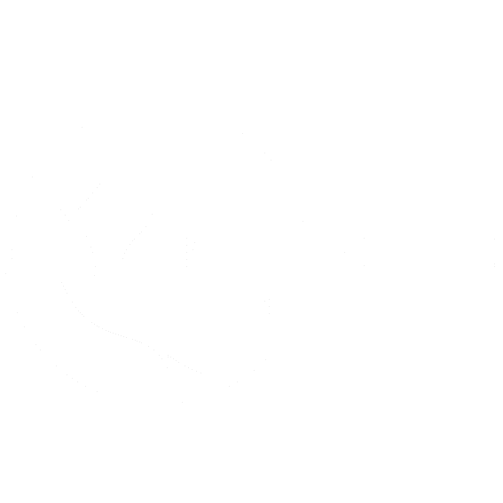 bluebird logo